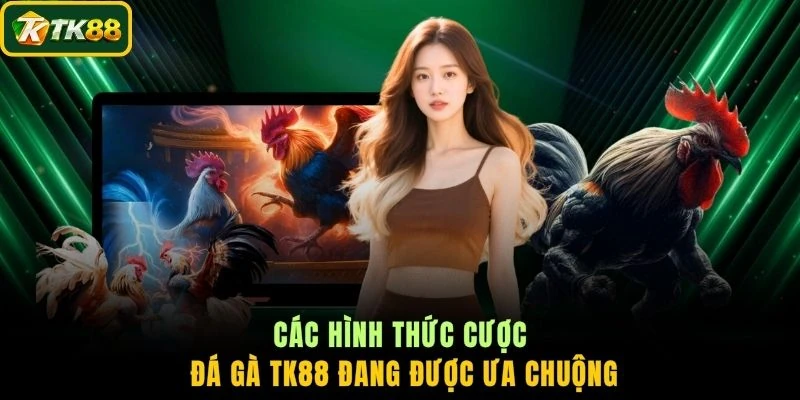 Các hình thức cược đá gà TK88 đang được ưa chuộng