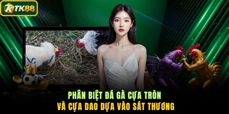 Phân biệt đá gà cựa tròn và cựa dao dựa vào sát thương