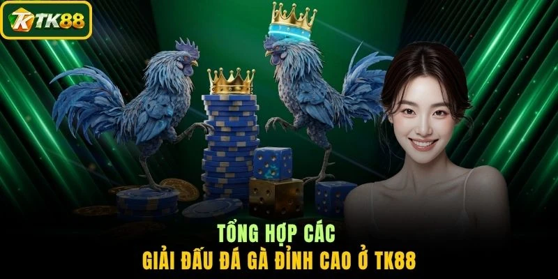 Tổng hợp các giải đấu đá gà đỉnh cao ở TK88