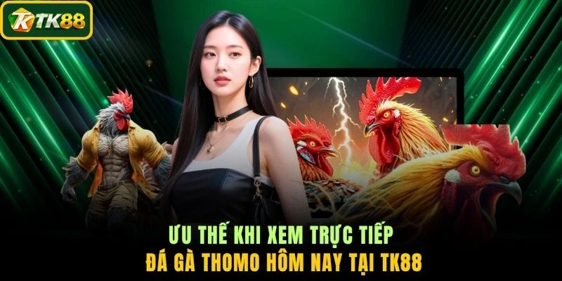 Ưu thế khi xem trực tiếp đá gà Thomo hôm nay tại TK88