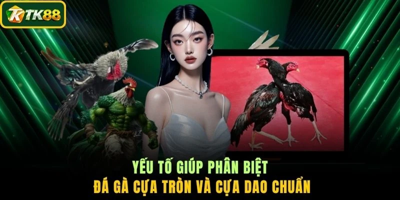 Yếu tố giúp phân biệt đá gà cựa tròn và cựa dao chuẩn